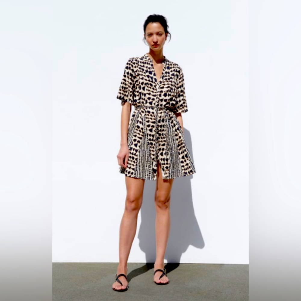 Zara Printed Crossed Dress